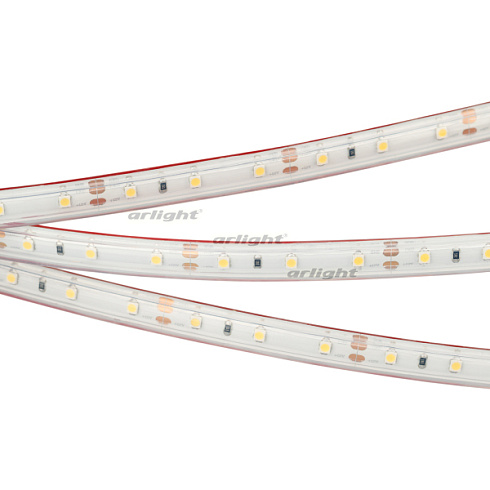 Лента герметичная RTW-PS-A60-10mm 12V Warm3000 (4.8 W/m, IP67, 2835, 5m) (Arlight, 4.8 Вт/м, IP67)