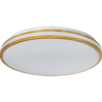 Светильник Navigator 93 459 NLF-C-025-01 