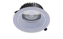 Светодиодный светильник Даунлайт ДВО-Д02-10-30-4K-IP65