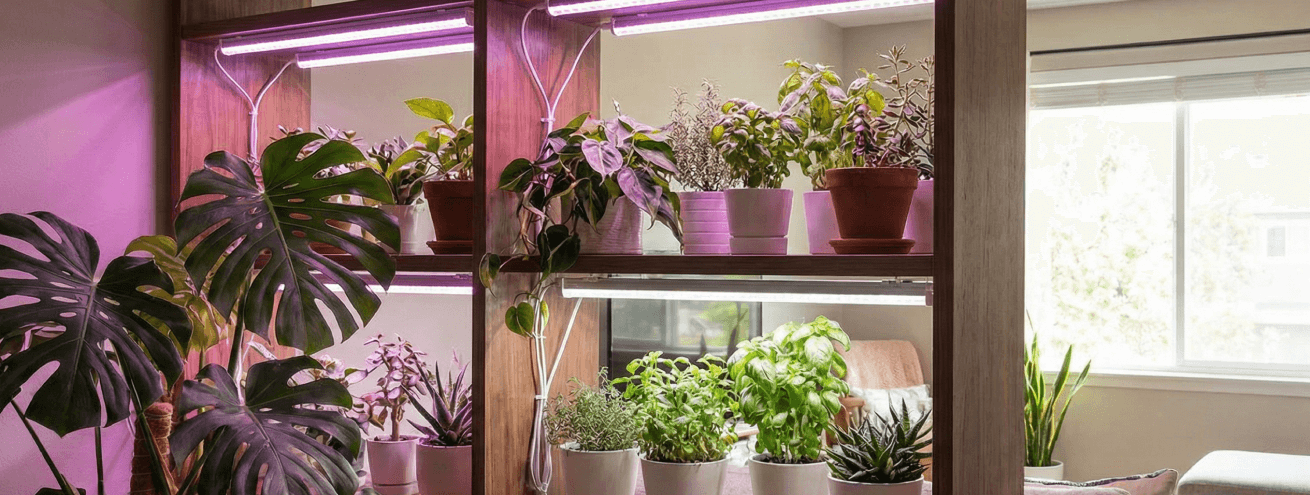 Новинки светильников для растений NEL-FITO Navigator