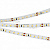 Лента RT-A120-8mm 24V Day5000 CRI98 (9.6 W/m, IP20, 2835, 5m) (Arlight, Открытый)
