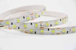 Лента 5050 60 led IP65 12V Теплый Белый 14,4 Вт/м Standart class