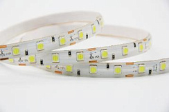 Лента 5050 60 led IP65 12V Холодный Белый 14,4 Вт/м Hight class