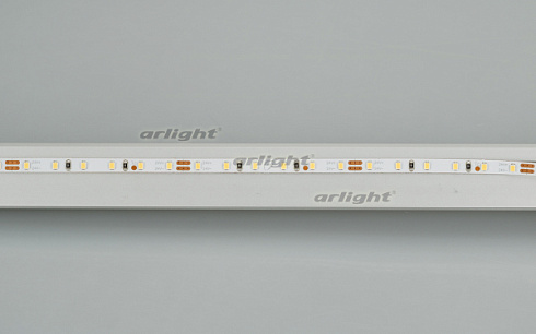 Лента MICROLED-5000L 24V Cool 8K 4mm (2216, 120 LED/m, LUX) (Arlight, 5.4 Вт/м, IP20)